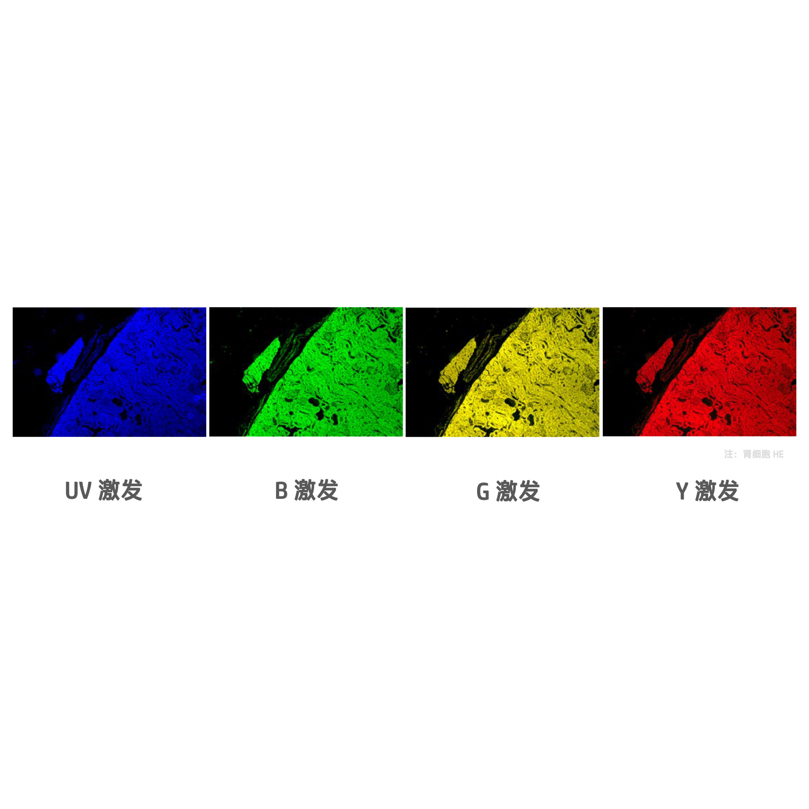 测试产品型号TEST001用于验证发布