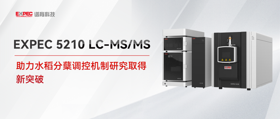 32.7！谱育科技 LC‑MS/MS 助力水稻分蘖研究，成果刊发《Molecular Plant》