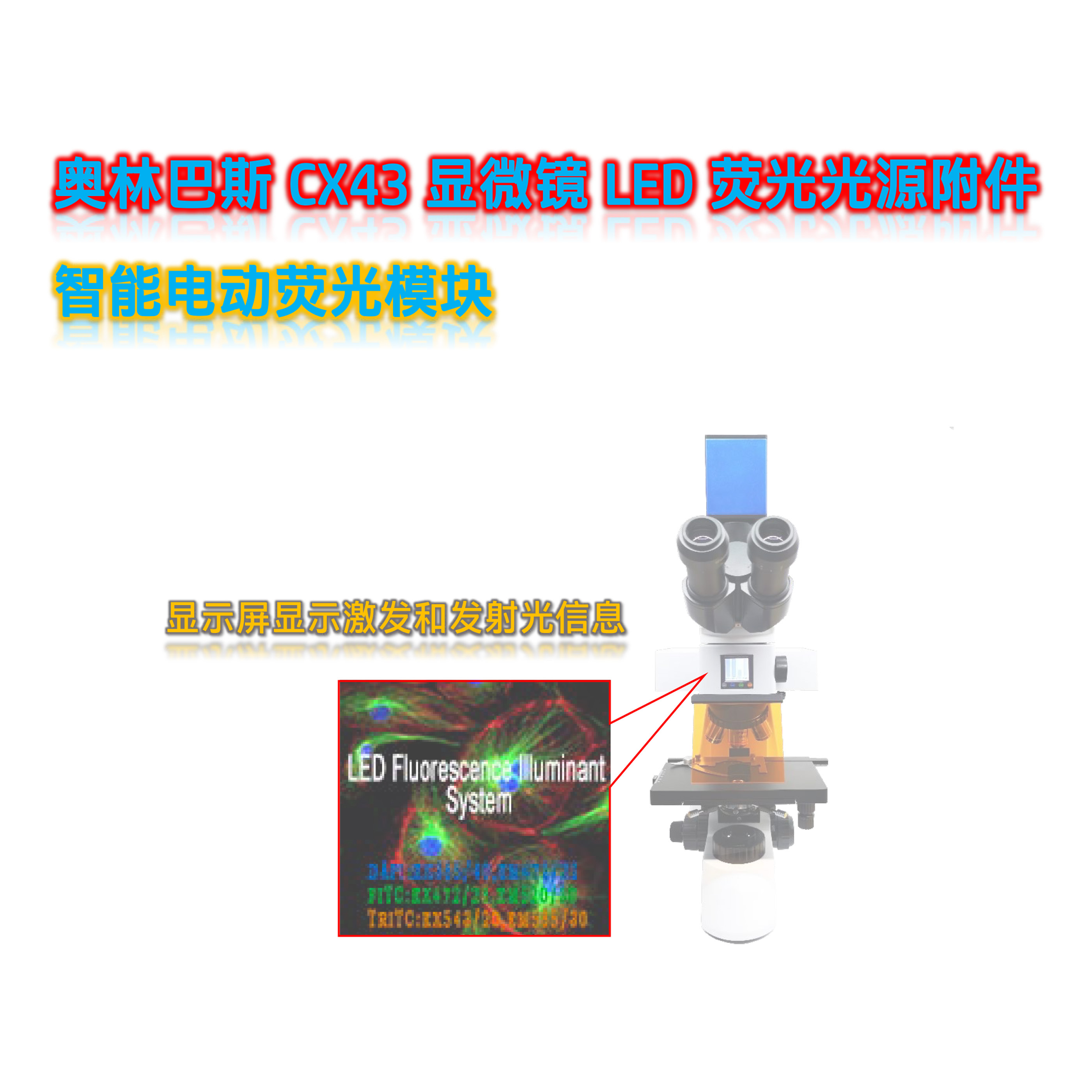 奥伟登(奥林巴斯)CX43正置显微镜荧光升级四色电动LED正置荧光模块光源附件CX4-UVBGR-E