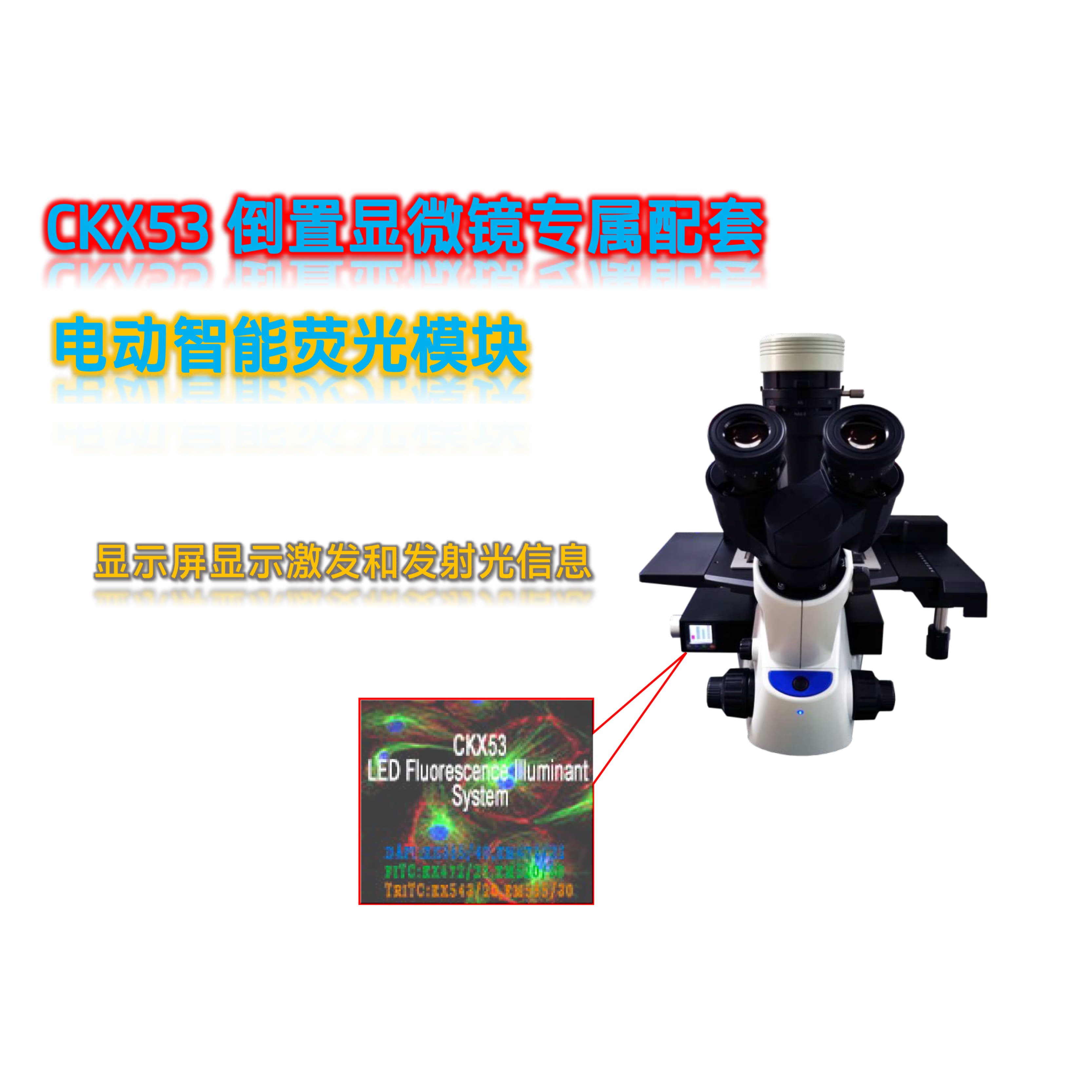 奥伟登(奥林巴斯)CKX53倒置显微镜荧光升级三色电动LED荧光模块光源附件CKX-UVGY-E