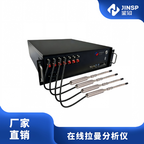 RS2000PAT 机柜版在线拉曼分析仪