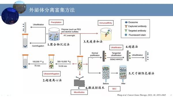  外泌体分离捕获新技术构建及临床应用研究