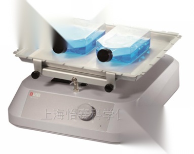 SK-R1807-E  大龙DLAB 经济型翘板摇床  SK-R1807-E
