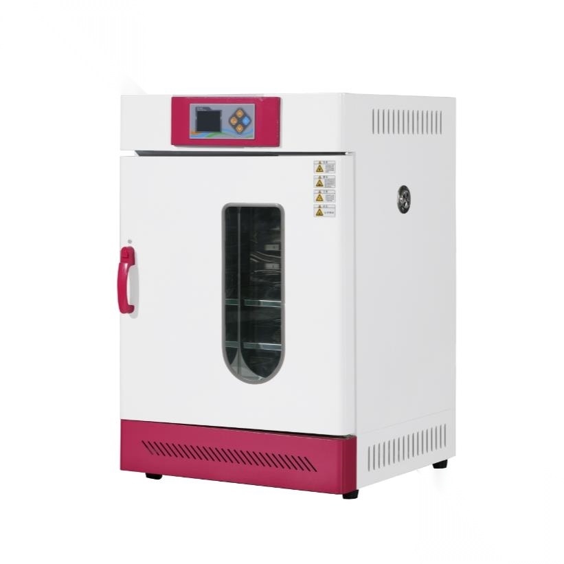 常规电热恒温培养箱