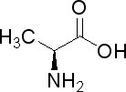 L-丙氨酸