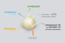 SYNBEADS树脂-氨基 - 异丁烯酸酯