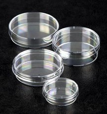 Sterilin 细菌培养皿