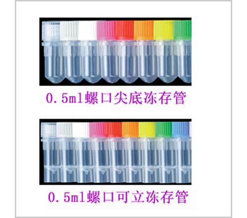 爱思进axygen-0.5ml冻存管（螺口含盖子） 500个/盒 