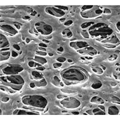 尼龙微孔滤膜—密理博Millipore