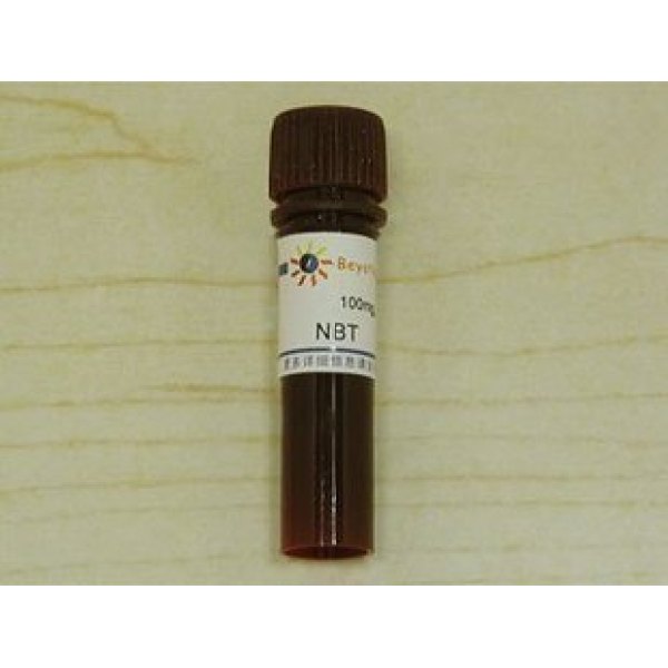 NBT 氯化硝基四氮唑兰