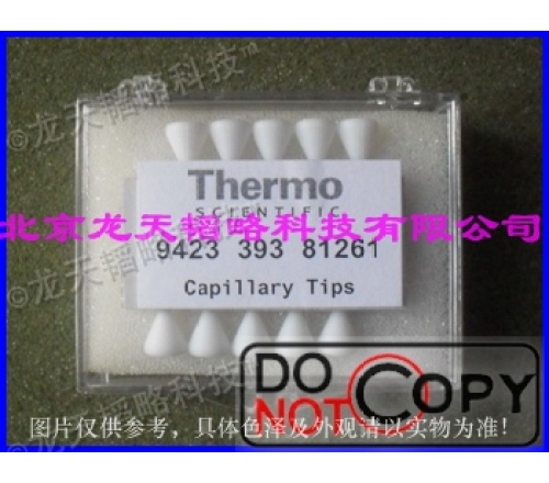 9423 393 81261热电(ThermoElectron) 进样毛细管进样头