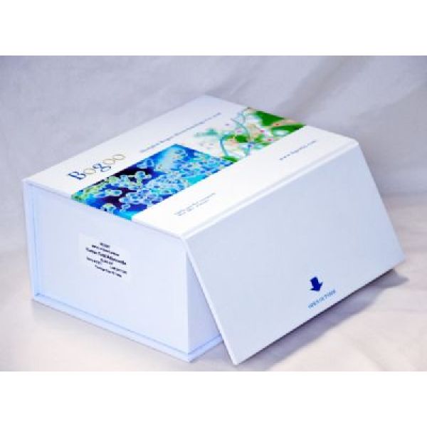 人尿微量白蛋白(ALB)ELISA试剂盒