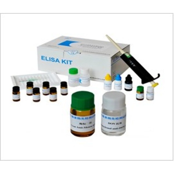 人类似cDNA顺序BC027382 ELISA试剂盒