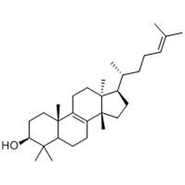 大戟二烯醇