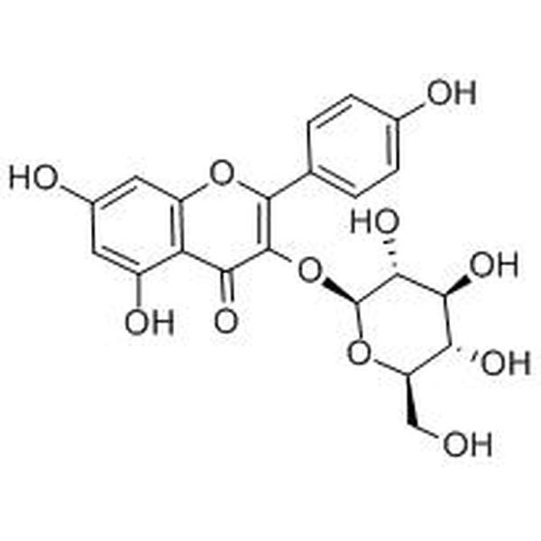 紫云英苷，480-10-4