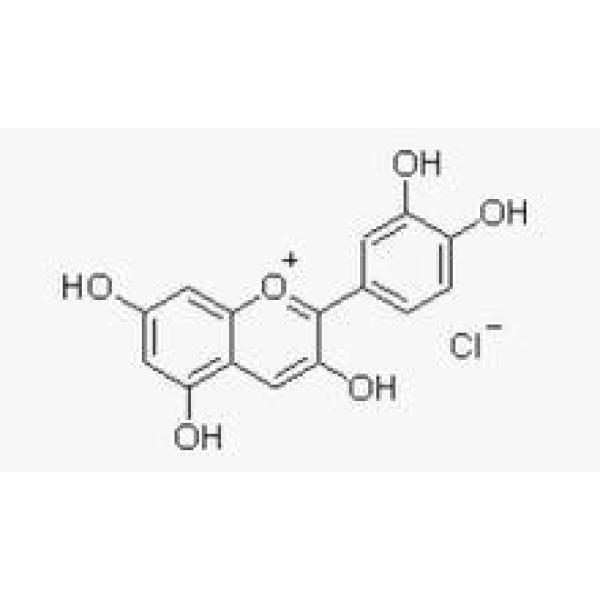 氯化矢车菊素