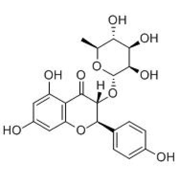 花旗松素-3-O-α-L-吡喃鼠李糖苷