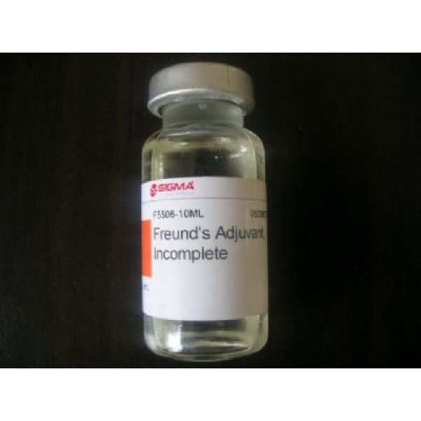 核黄素-5′-磷酸钠盐水合物