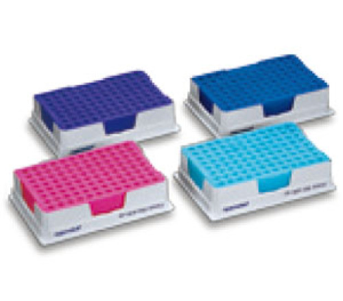 PCR低温指示冰盒 