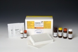李斯特菌检测试剂盒