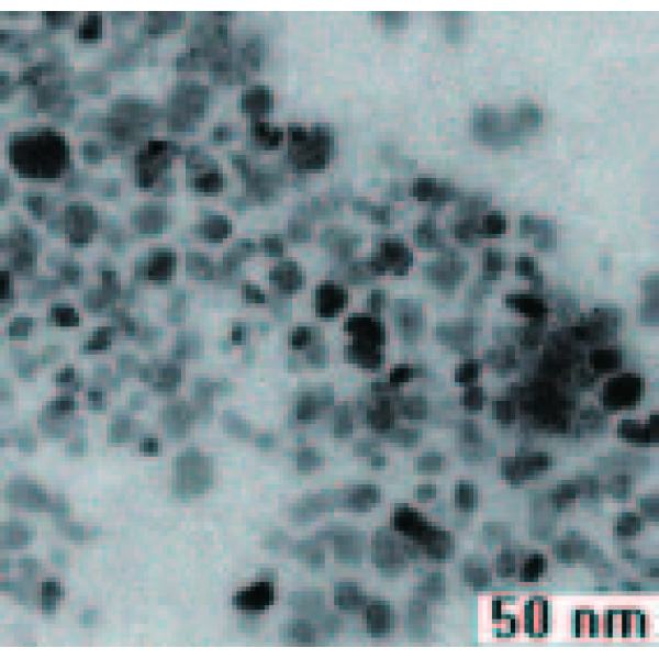 Fe3O4 纳米颗粒水悬浮液，磁流体