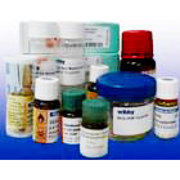 磺胺二甲基嘧啶检测试剂盒