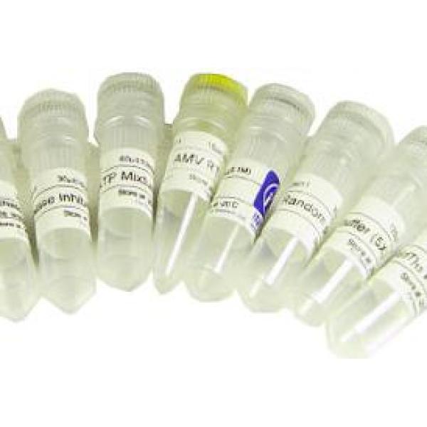102814-08-4 2'-脱氧尿嘧啶核苷-5'-三磷酸三钠盐