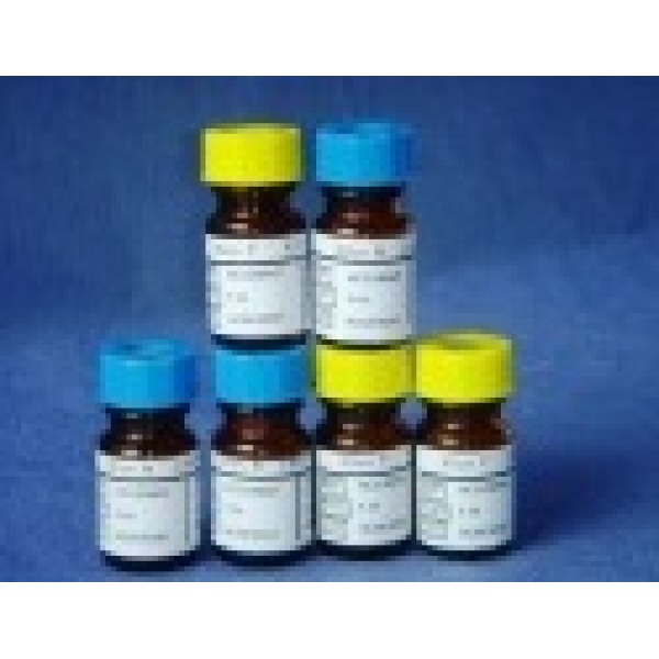 N-甲基-1-萘甲胺 Cas号 14489-75-9 