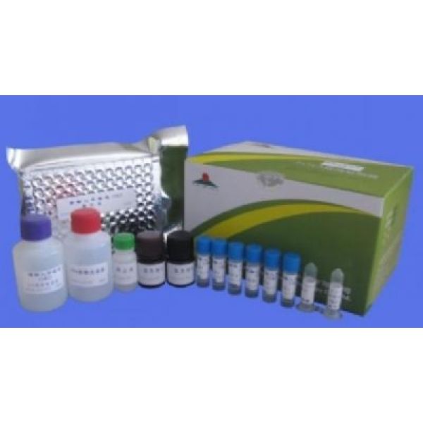 大鼠内脂素/内脏脂肪素(visfatin)ELISA试剂盒