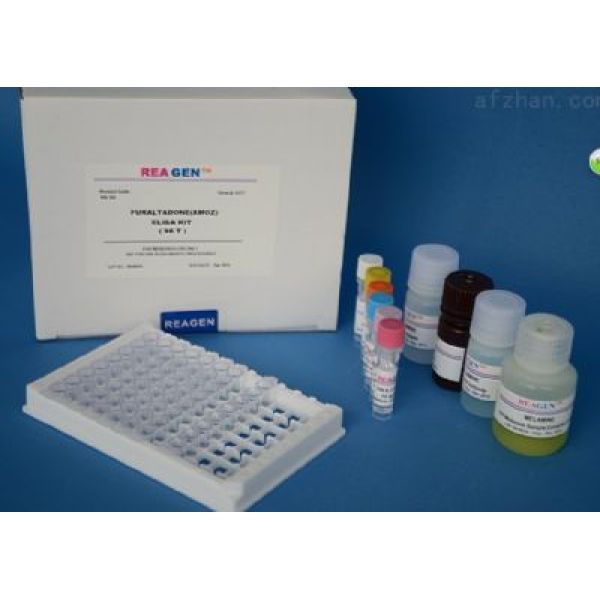 人空肠弯曲菌黏附蛋白(PEB1)ELISA试剂盒