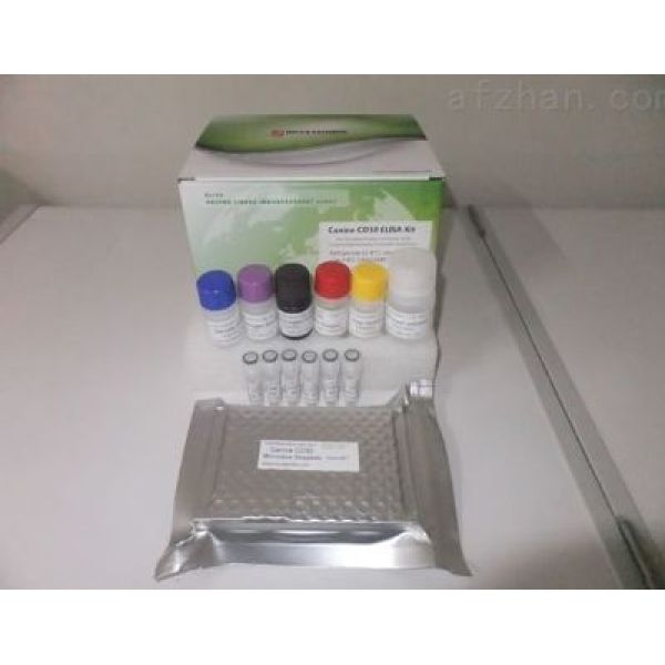 人双氢睾酮(DHT)ELISA试剂盒