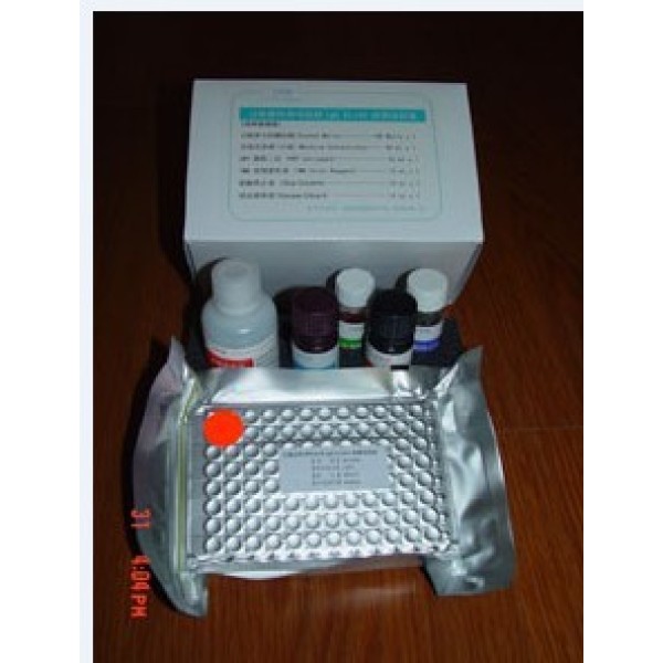 人糖胺聚糖(GAG)ELISA试剂盒