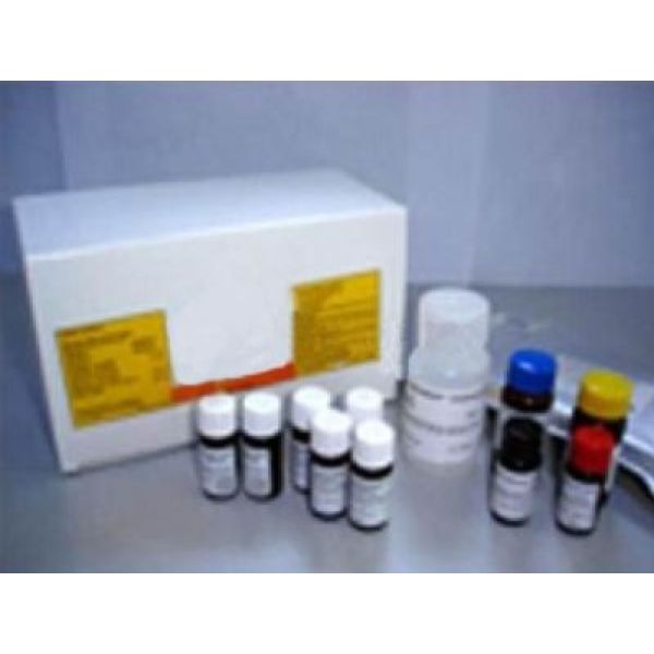 人维生素D结合蛋白(DBP)ELISA试剂盒