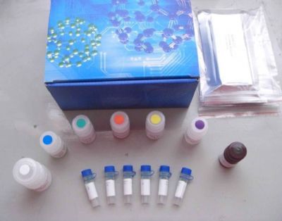人干扰素诱导蛋白10(IP-10/CXCL10)ELISA试剂盒