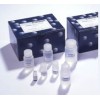 人细胞角蛋白18(CK-18)ELISA试剂盒 
