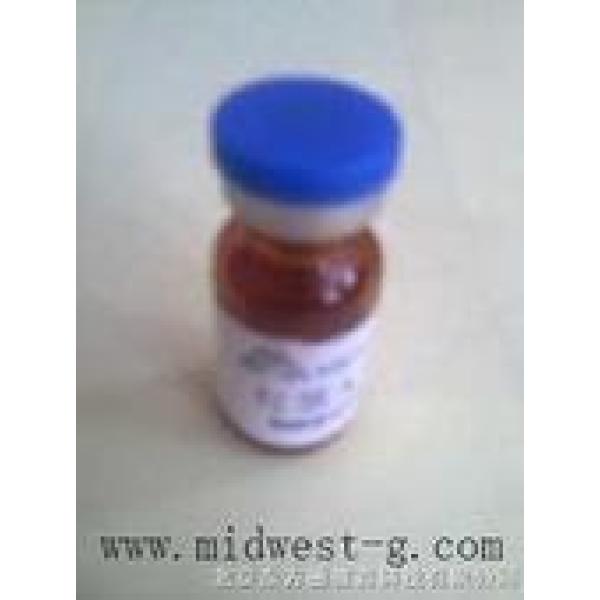 小鼠毒性休克综合征毒素1试剂盒