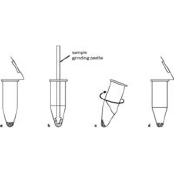 样品研磨试剂盒2D 