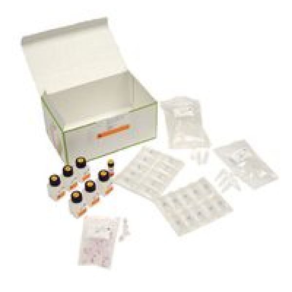 纯化试剂盒QuickPrep Micro mRNA Purification Kit (24)  mRNA