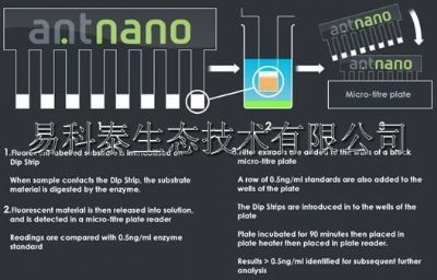 酶检测试剂工具包