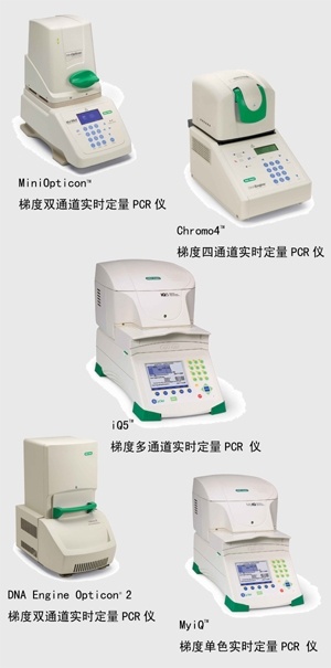定量PCR系列