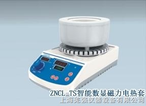 智能数显磁力搅拌电热套ZNCL-TS 5000ml