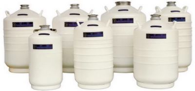 金凤液氮罐YDS-30优等品