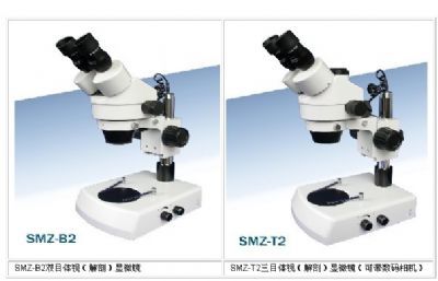 体视（解剖）显微镜
