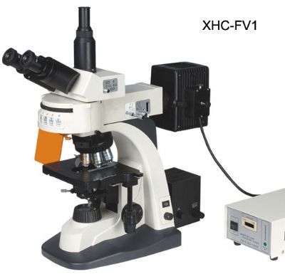 数码荧光显微镜XHC-FV1