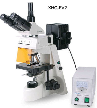 数码荧光显微镜XHC-FV2