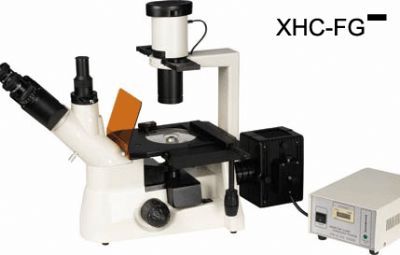 数码荧光显微镜XHC-FG