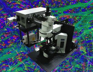 激光共焦显微拉曼光谱仪