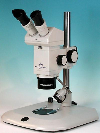 德国ASKANIY SMC 4体视显微镜