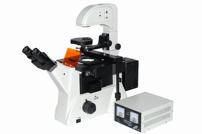XD200-FL倒置荧光生物显微镜