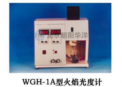 WGH-1A火焰光度计